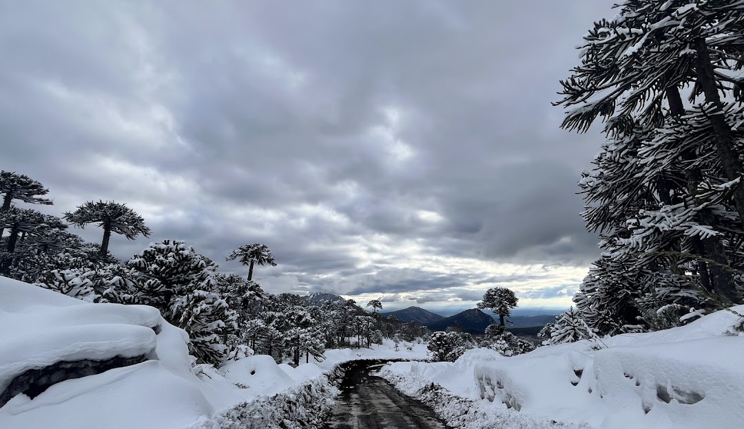 Winter scene at Centro de Ski Araucarias - Volcán Llaima, Chile, featuring a stunning snow-covered mountain landscape and a charming chalet, ideal for winter sports activities.