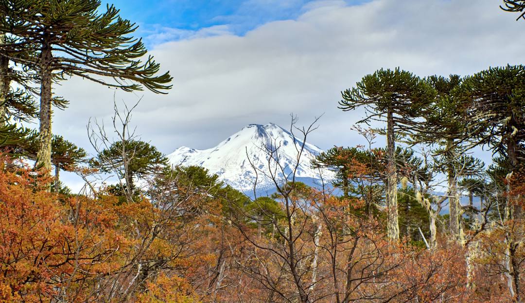View of the stunning Volcán Llaima at the Centro de Ski Araucarias in Chile, boasting a spectacular winter landscape. A quaint challet is nestled amidst the snowy peaks, making for an idyllic winter sports scene.