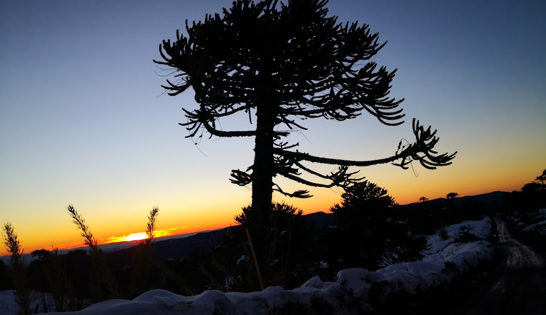 A picturesque winter scene at Centro de Ski Araucarias in Chile featuring a chalet set against stunning snow-covered mountains under a clear blue sky.