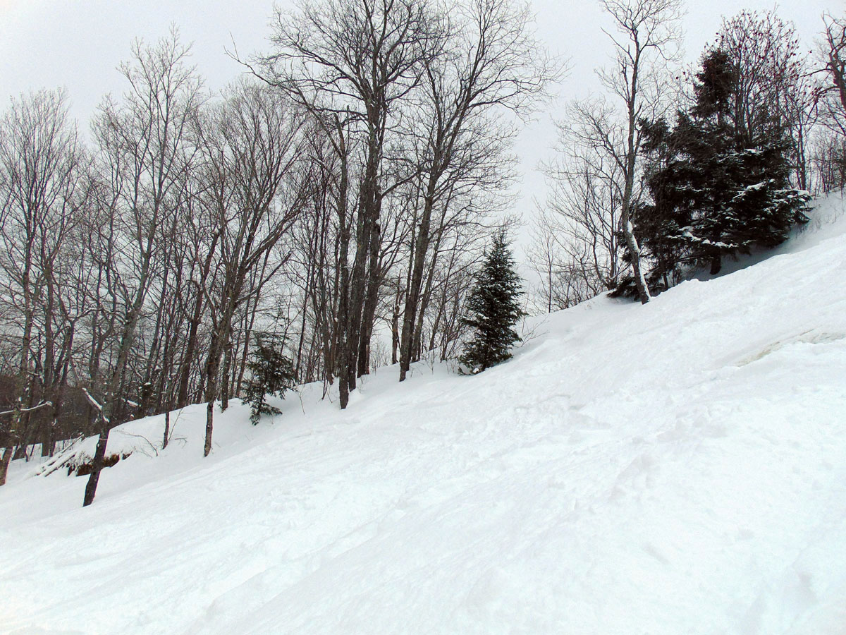 A skier enjoying downhill skiing at the Mont Avalanche resort in Quebec, Canada; a quintessential winter sports scene featuring a ski resort and chalet.
