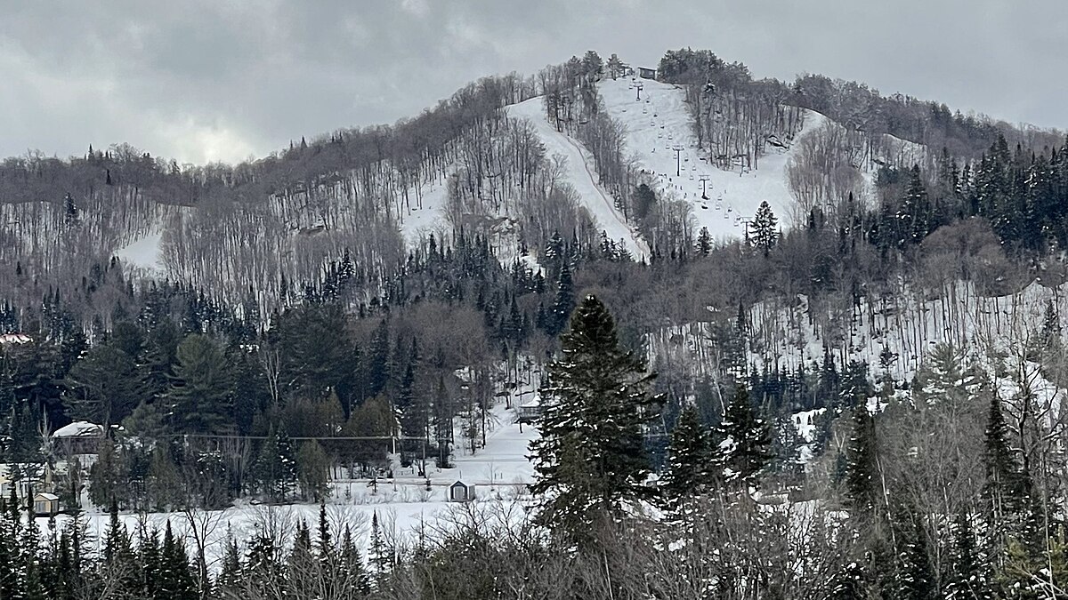 Mont Avalanche in Canada - a snow covered mountain with trees in the fore.