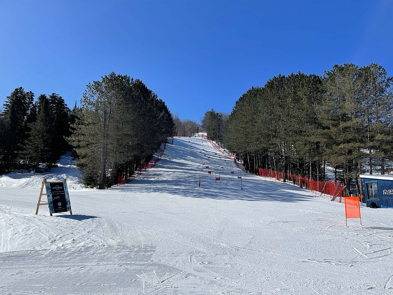 Mont Avalanche in Canada - a ski slope with trees in the background.