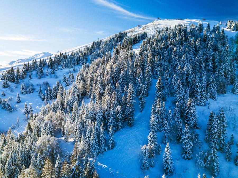 Lurisia Monte Pigna in Italy - snow covered trees in the mountains.