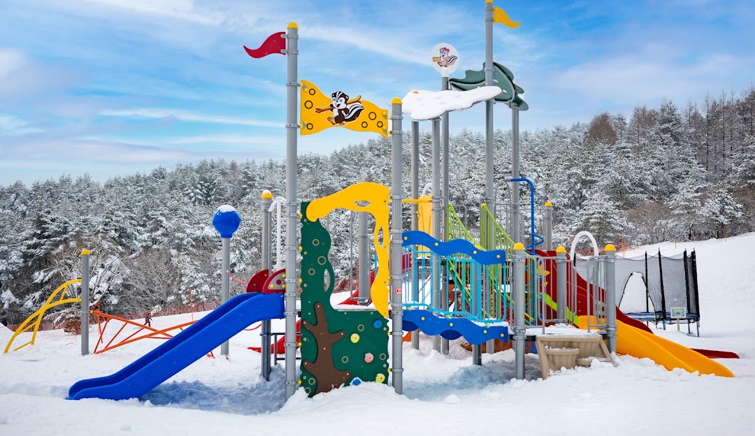 Winter sports enthusiasts thrive in the breathtaking scene at Numajiri, a ski resort in Japan's Tōhoku region. Stunning winter scenery provides the backdrop for a bustling winter sports centre.