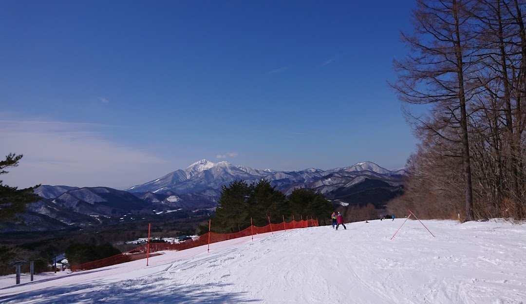 Winter sports scene at Numajiri, Tōhoku, Japan, featuring a skier gliding down a ski resort slope, a snow-covered challet nearby and a majestic mountain in the distance.