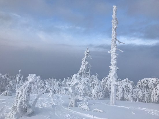 Winter sports scene at Adzhigardak in Russia, showcasing a bustling ski resort amidst captivating winter scenery. Skiers are seen in action, adding dynamism to the serene, snow-covered landscape.
