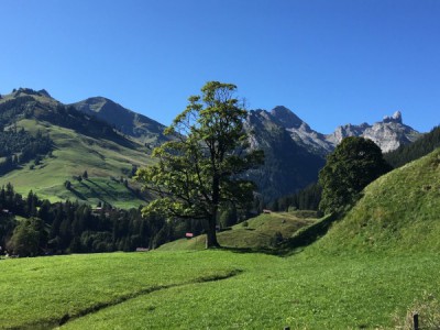A sunlit chalet nestled in Grimmialp, Bernese Oberland, surrounded by breathtaking mountains in Switzerland. Perfect day for mountain biking at the nearby ski resort.