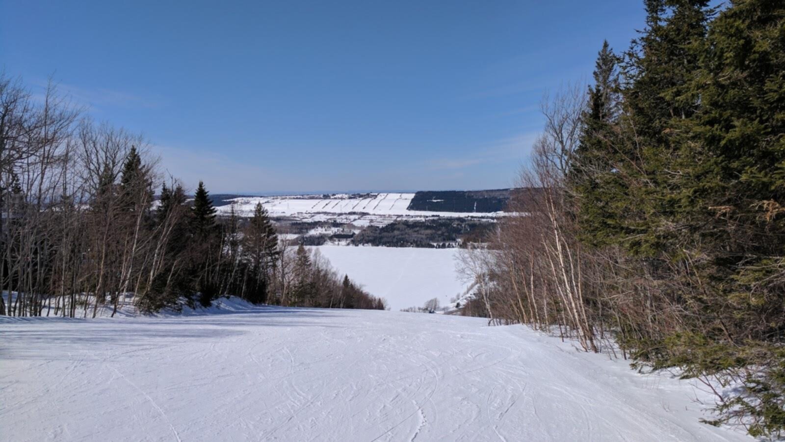 Mont-Saint-Mathieu in Canada - a ski slope with trees and snow on it.