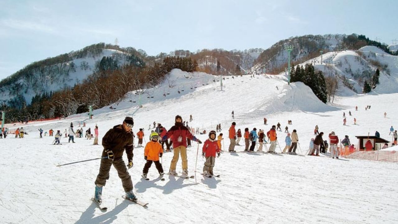 Imajo 365 in Japan - a group of people skiing down a snowy hill.