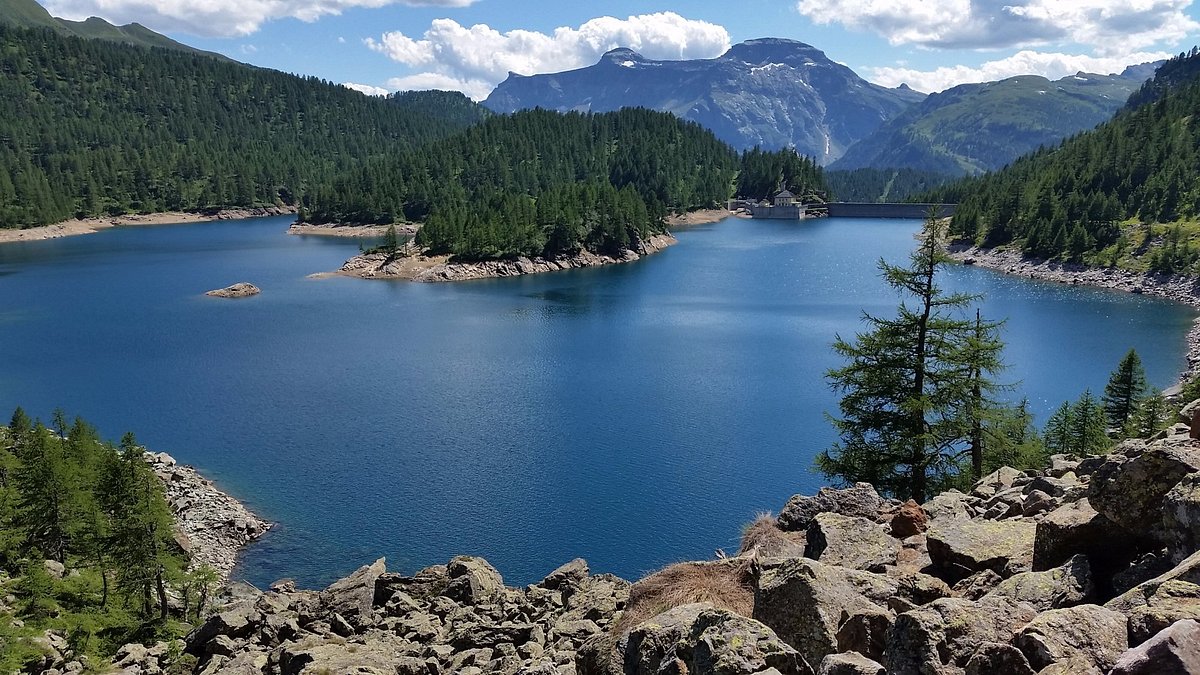 Alpe Devero – Baceno in Italy - a large body of water surrounded by trees.