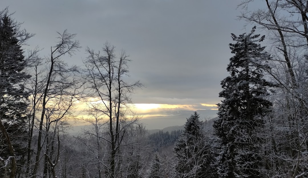 Winter scenery at Lysá in Drienica, Prešov, Slovakia featuring snow-covered mountain and a chalet amidst winter sports activities.