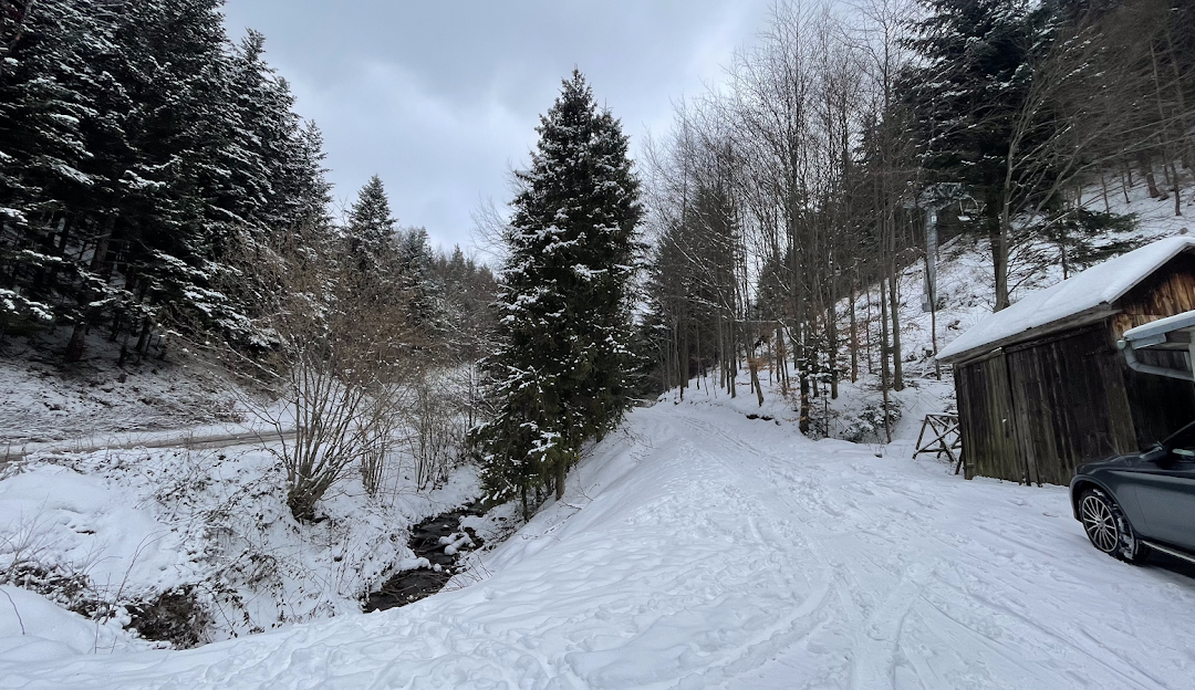 Winter sports scene at Lysá in Drienica, Slovakia, featuring a charming challet surrounded by a stunning, serene winter landscape, part of a winter sports centre.