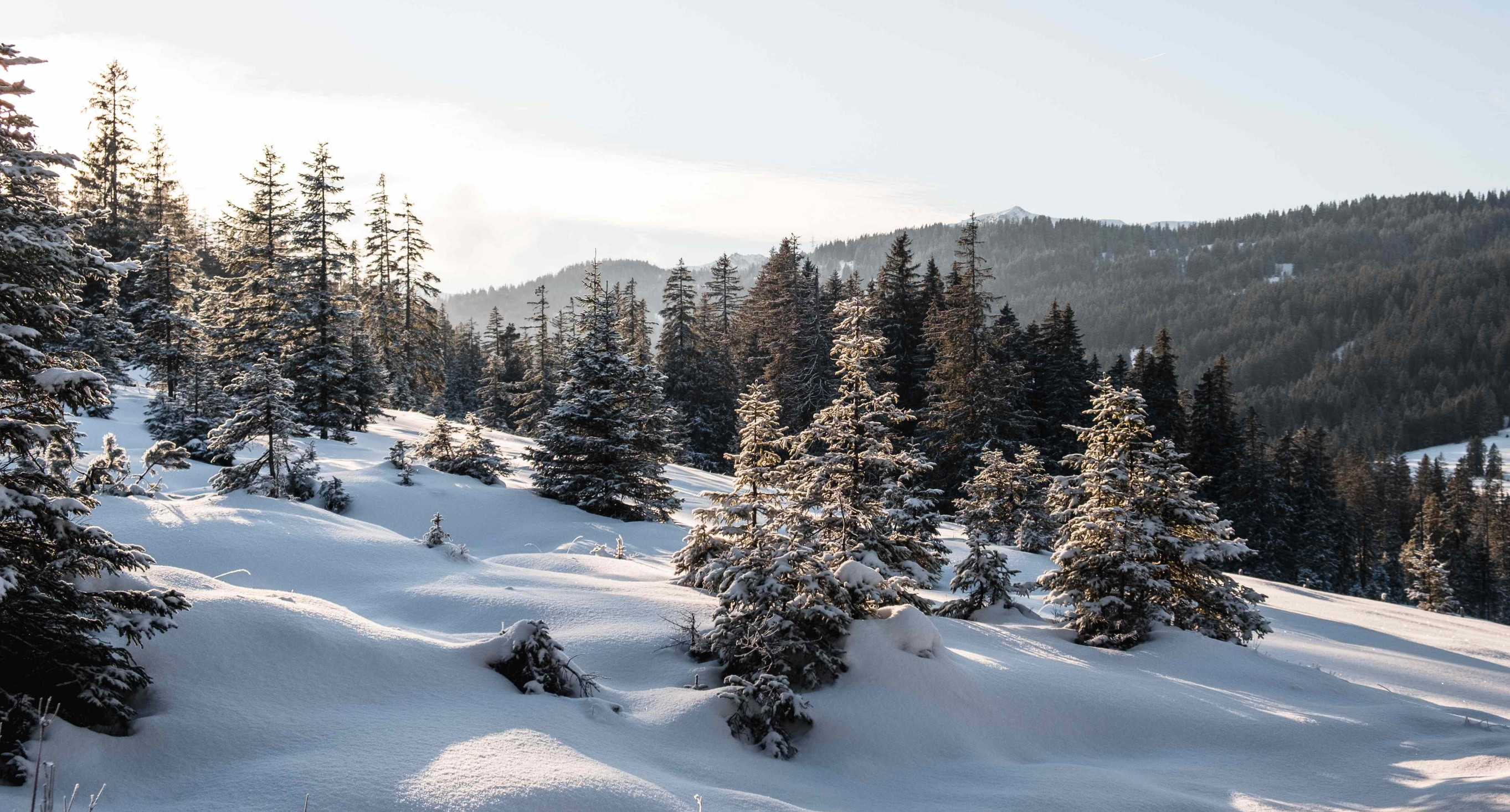 A scenic view of Play in Plav'ya, Ukraine, showcasing stunning winter scenery with a winter sports scene. A picturesque challet is subtly nestled against a snowy mountain backdrop.