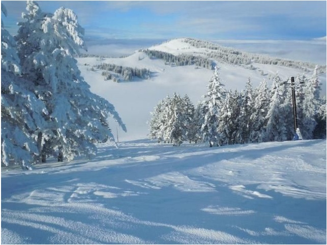 View of Sitzmark ski resort in Tonasket, Washington, showcasing an enchanting winter landscape, highlighted by a charming chalet amidst a bustling winter sports scene.
