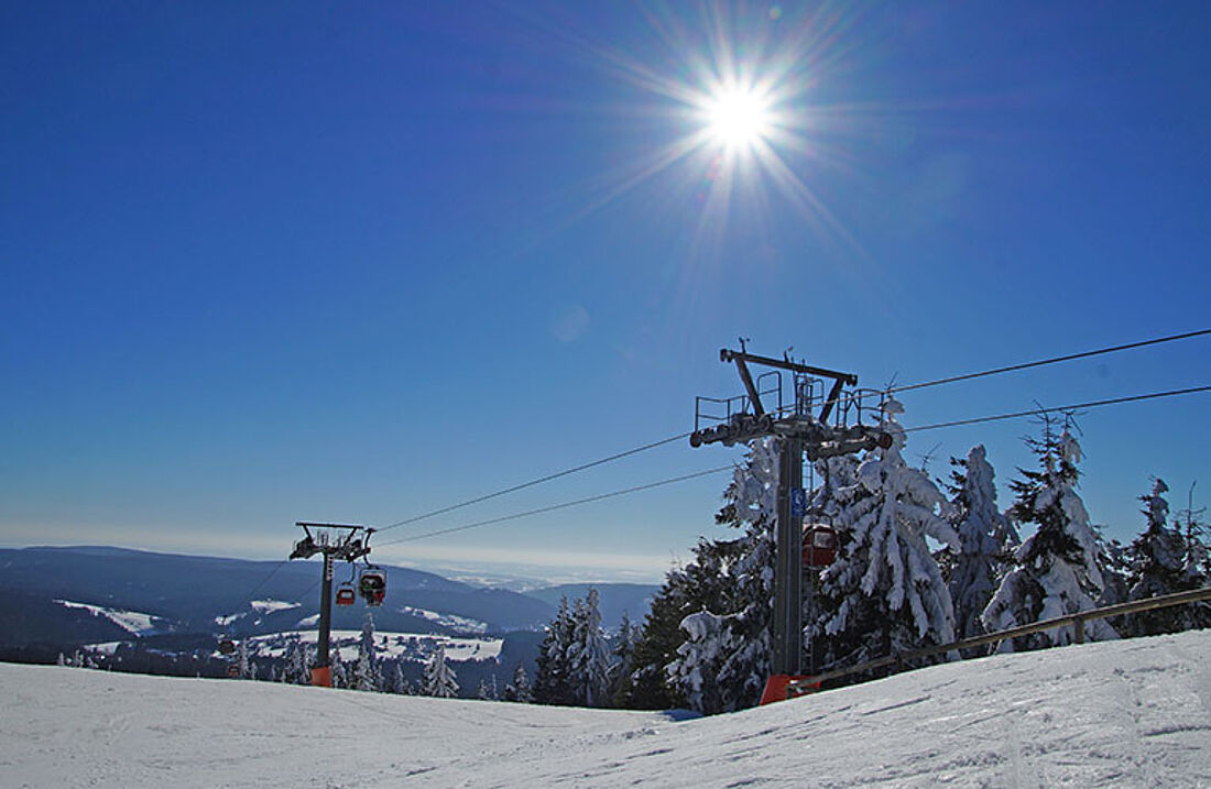 Hempelsberg | Geiersberg – Oberwarmensteinach in Germany - the sun is shining.
