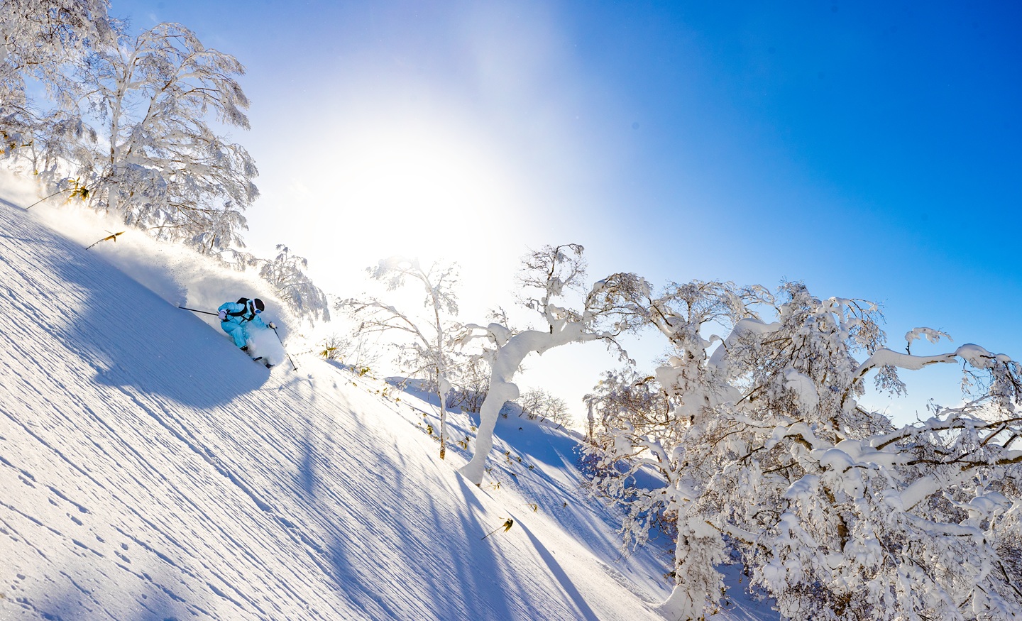 Rusutsu in Japan - a person riding a snowboard down a snowy slope.