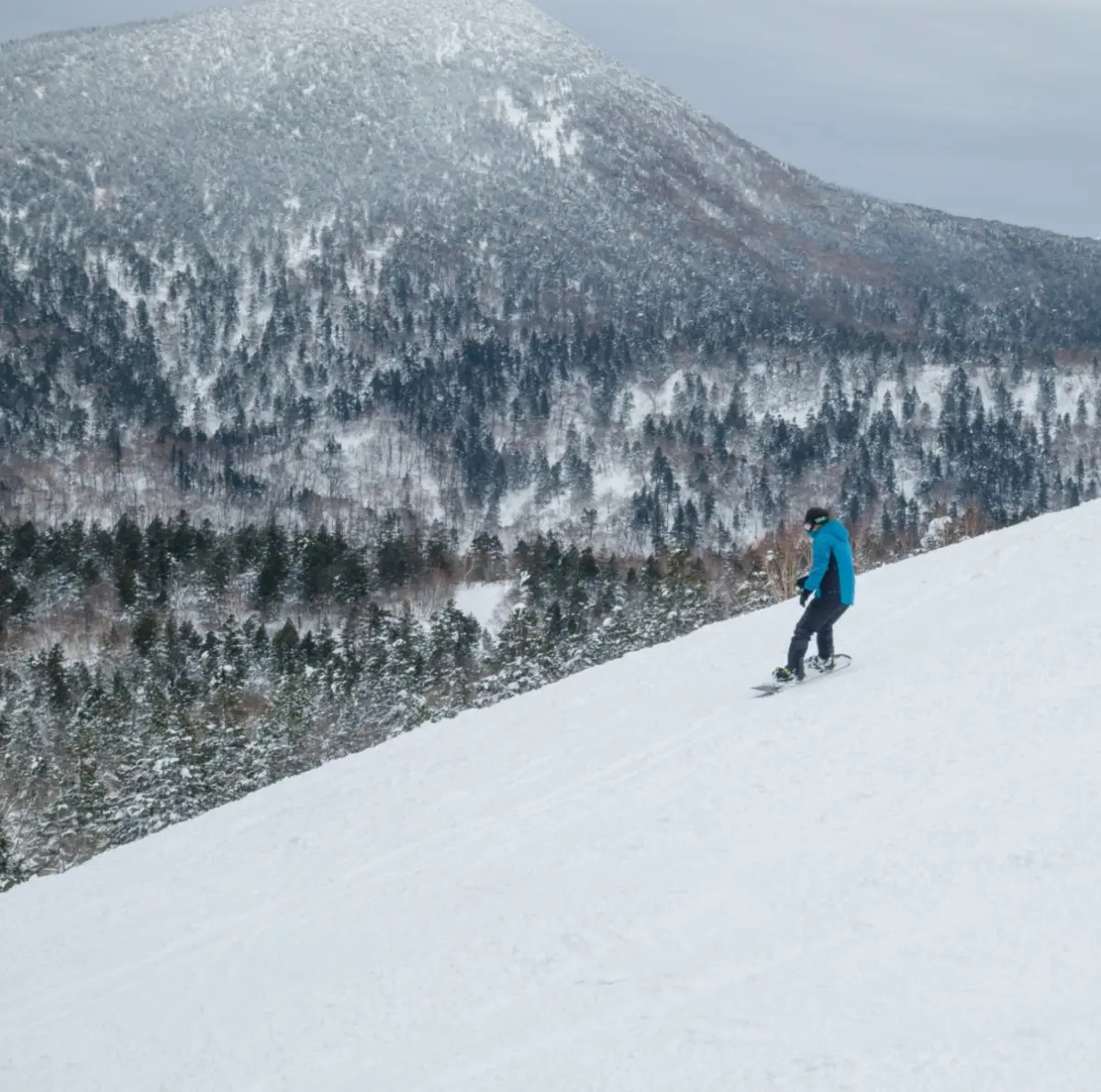 Zao Sumikawa in Japan - a person on a snowboard going down a hill.