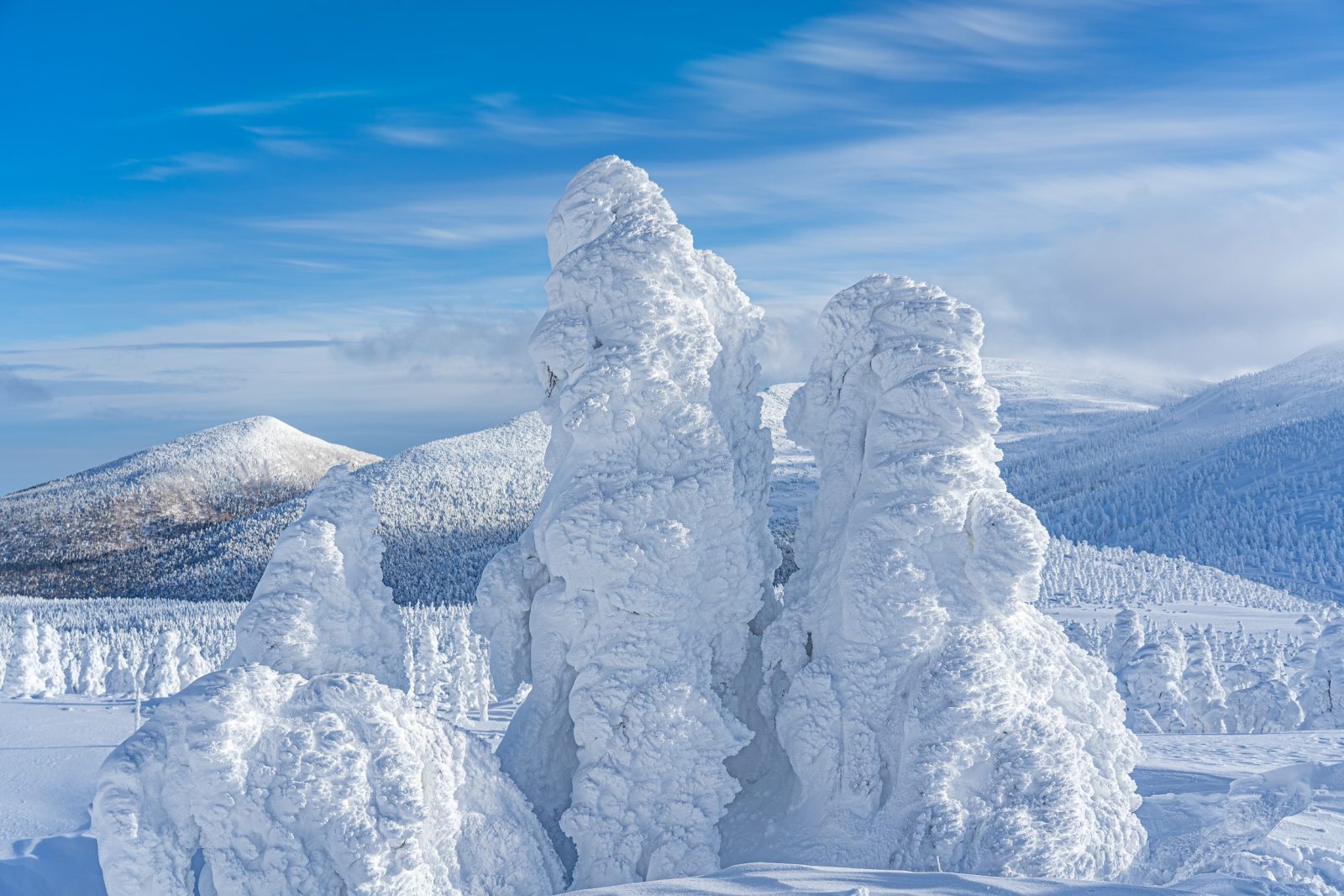 Zao Sumikawa in Japan - trees covered in snow.