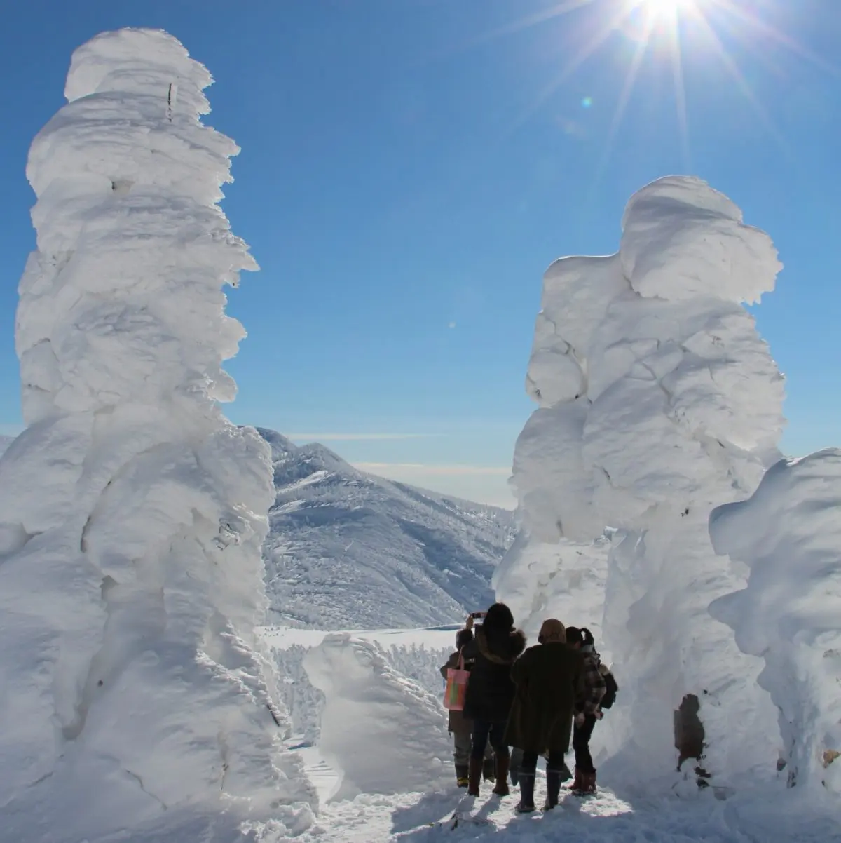 Zao Sumikawa in Japan - a group of people standing on top of snow covered trees.