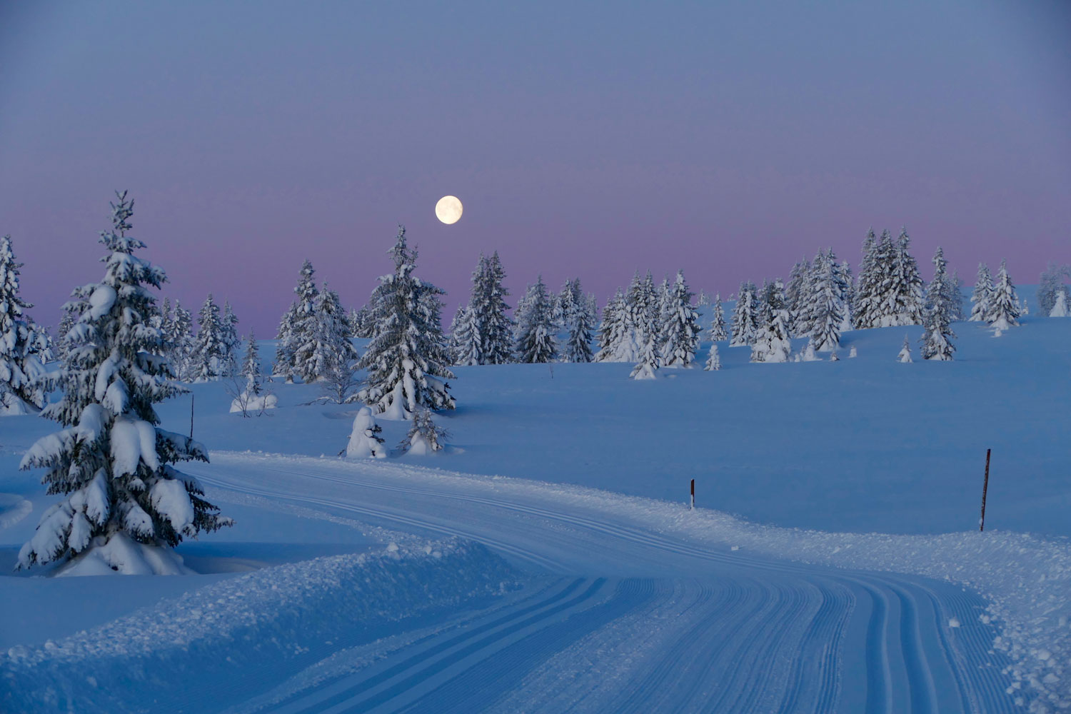 Winter scene at Golsfjellet in Norway featuring breathtaking snowy landscapes, a distant chalet, and hints of winter sports activities.