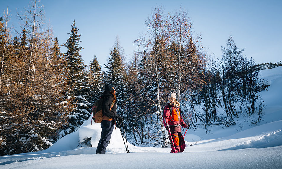 Winter sports scene at Les Arcs | Peisey-Vallandry in Savoie Mont Blanc, France, featuring a family skiing amidst stunning winter scenery.