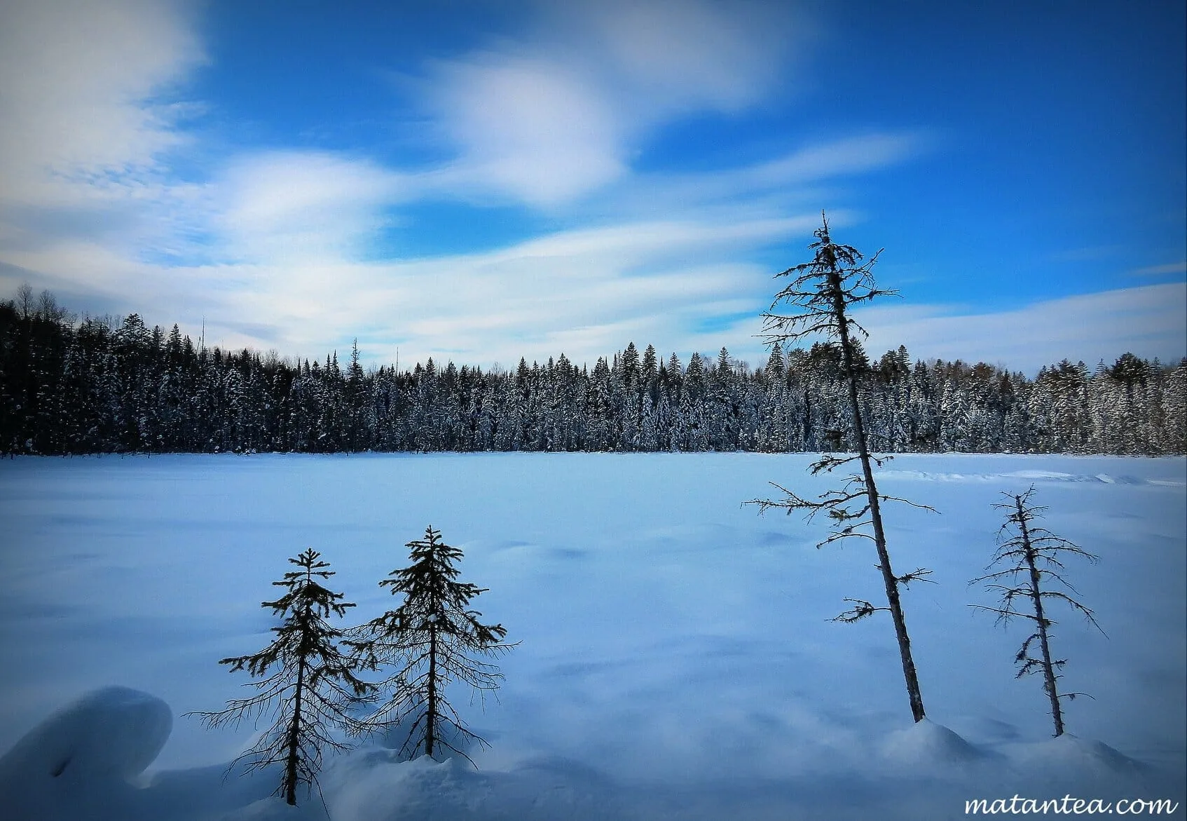 Vallée du Parc in Canada - a snowy landscape with trees and snow covered ground.