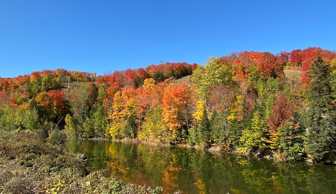 A picturesque view at Vallée du Parc in Shawinigan, Quebec, featuring a serene lake hugged by a forest of verdant trees. A charming chalet sits nearby under the warm, sunny sky, with a backdrop of a tranquil mountain.