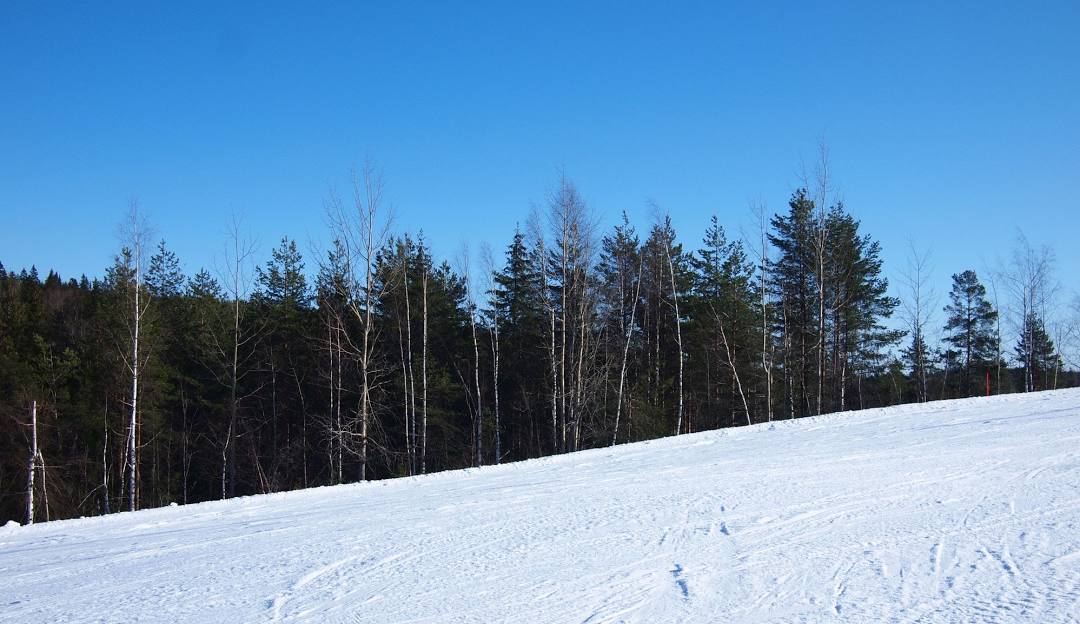 A skier gliding down a slope at Himos winter sports centre in Jämsä West Finland surrounded by a picturesque winter scenery. A charming chalet is visible nearby.