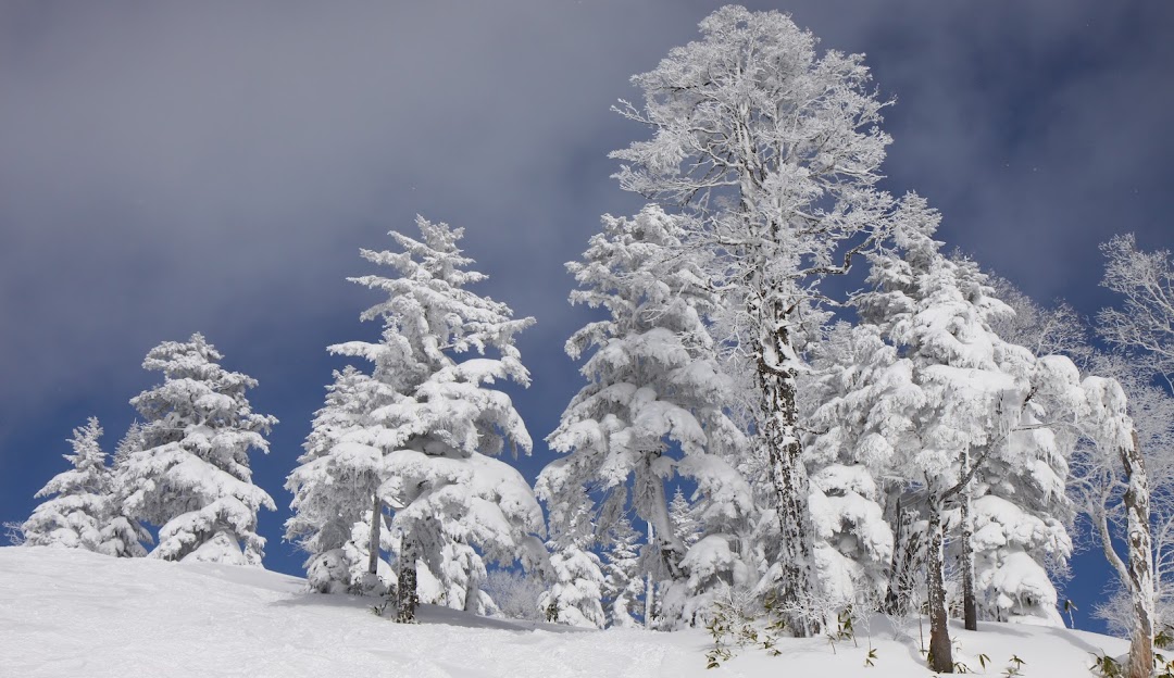Stunning winter scene at Manza Onsen in Japan, featuring pristine snowy mountains, a quaint chalet, and individuals engaging in winter sports.