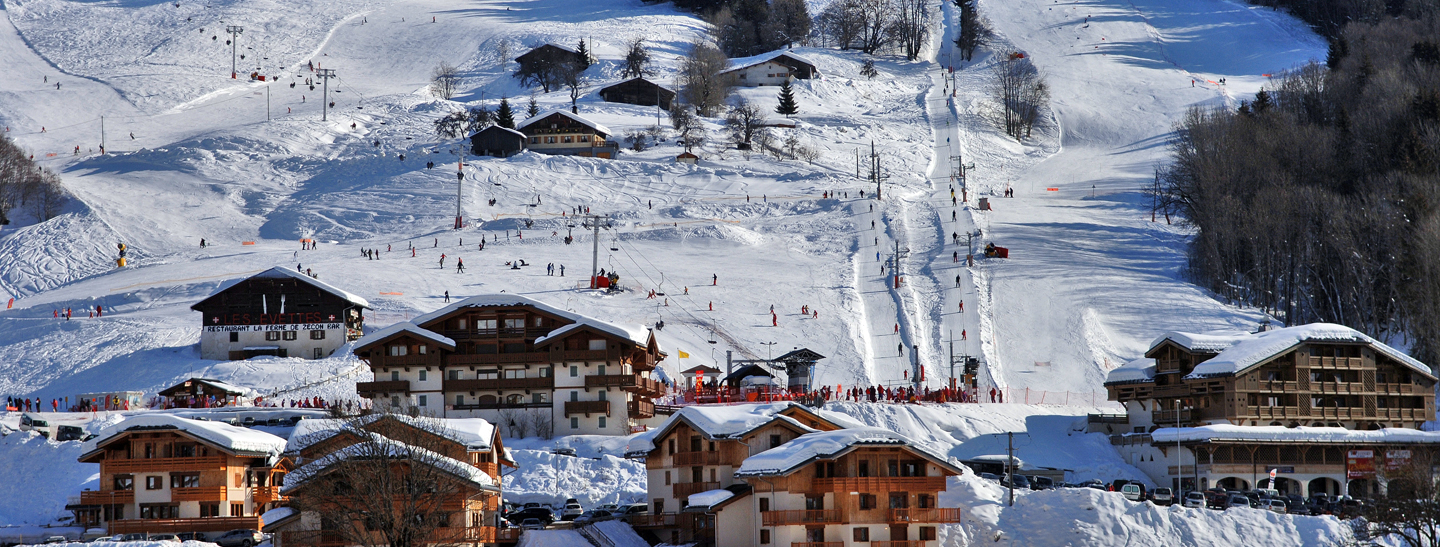 Espace Diamant – Les Saisies | ​Notre-Dame-de-Bellecombe | ​Praz sur Arly | ​Flumet | ​Crest-Voland in France - a group of houses on a snowy mountain.