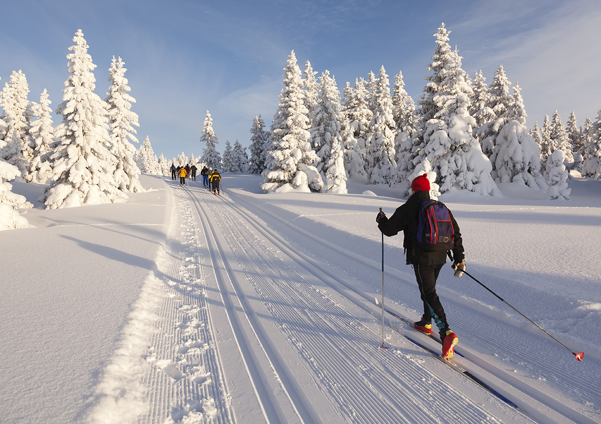 Mont-Kanasuta in Canada - a group of people skiing down a snowy slope.
