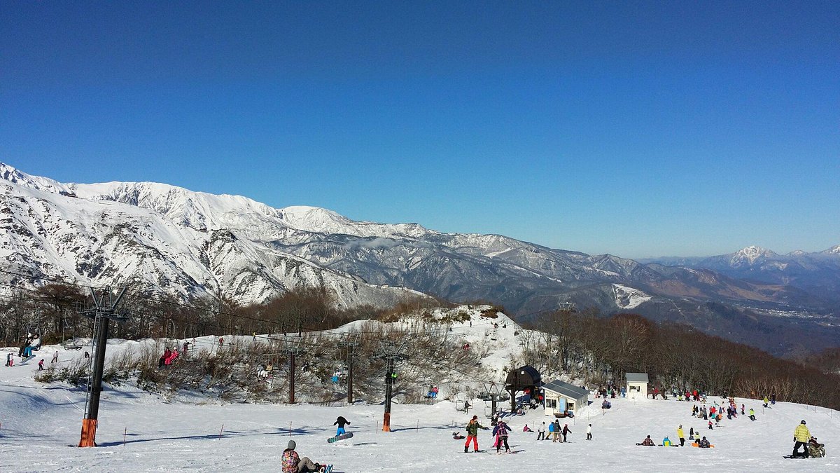Blue Resort Yanaba in Japan - a group of people skiing down a snowy slope.