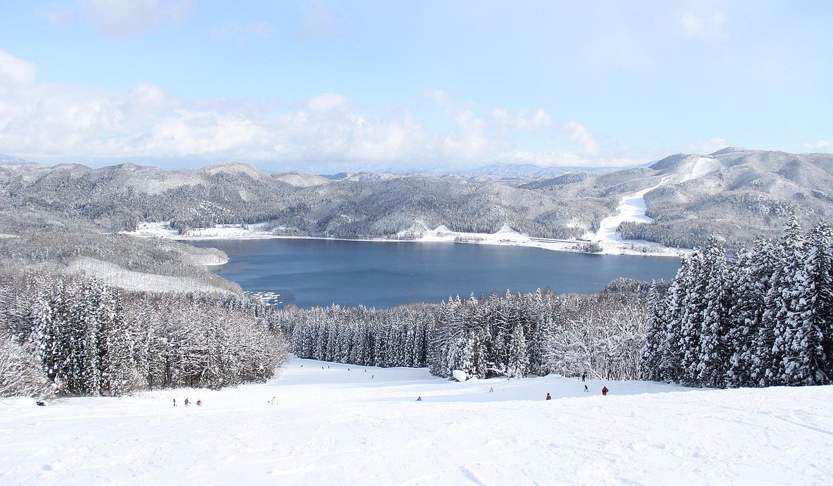 Blue Resort Yanaba in Japan - the view from the top of the mountain in winter.