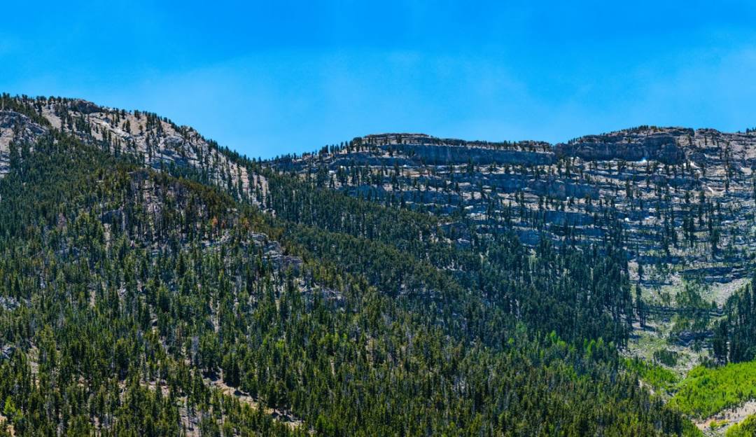 View of Las Vegas Ski and Snowboard Resort – Lee Canyon, displaying a picturesque scene with a snow-capped mountain, a lush forest of trees and the resort facilities nestled amidst in Nevada, USA.