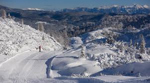Velika Planina in Slovenia - snow on the ground.