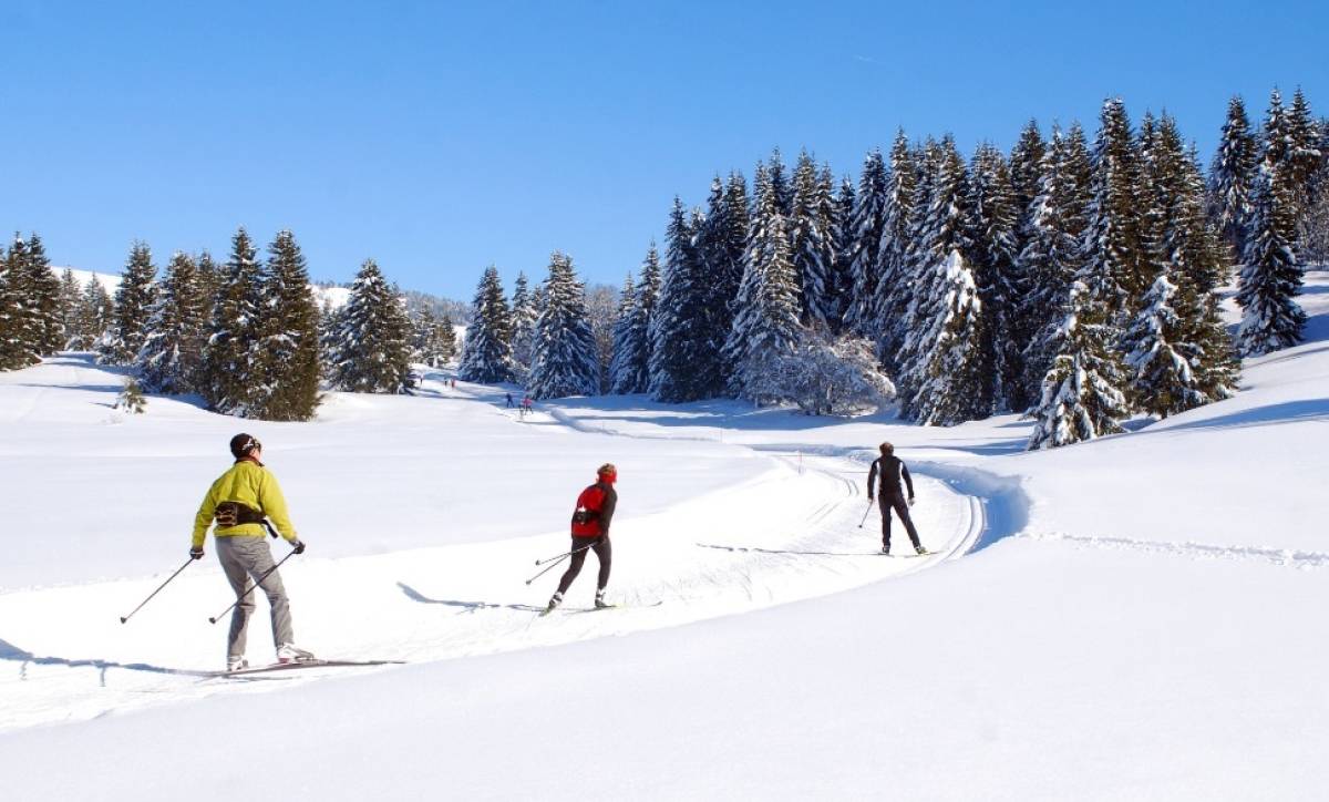 Savoie Grand Revard in France - a group of people skiing down a snowy slope.
