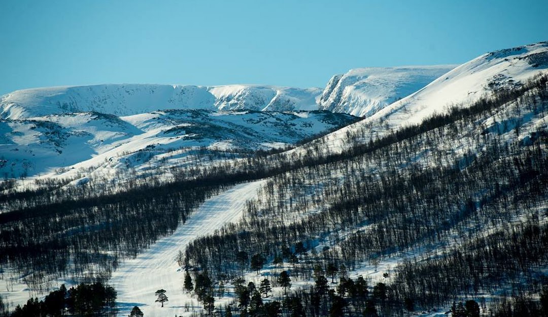 View of Hallingskarvet ski resort in Norway, showcasing snow-covered slopes dotted with skiers, under a clear sky; ski lift seen in the background contributing to an idyllic winter sports scene.
