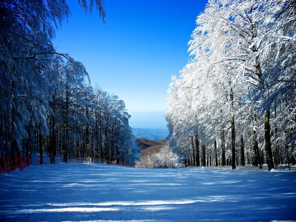 Passo dei Due Santi in Italy - a snowy landscape with trees and snow covered ground.
