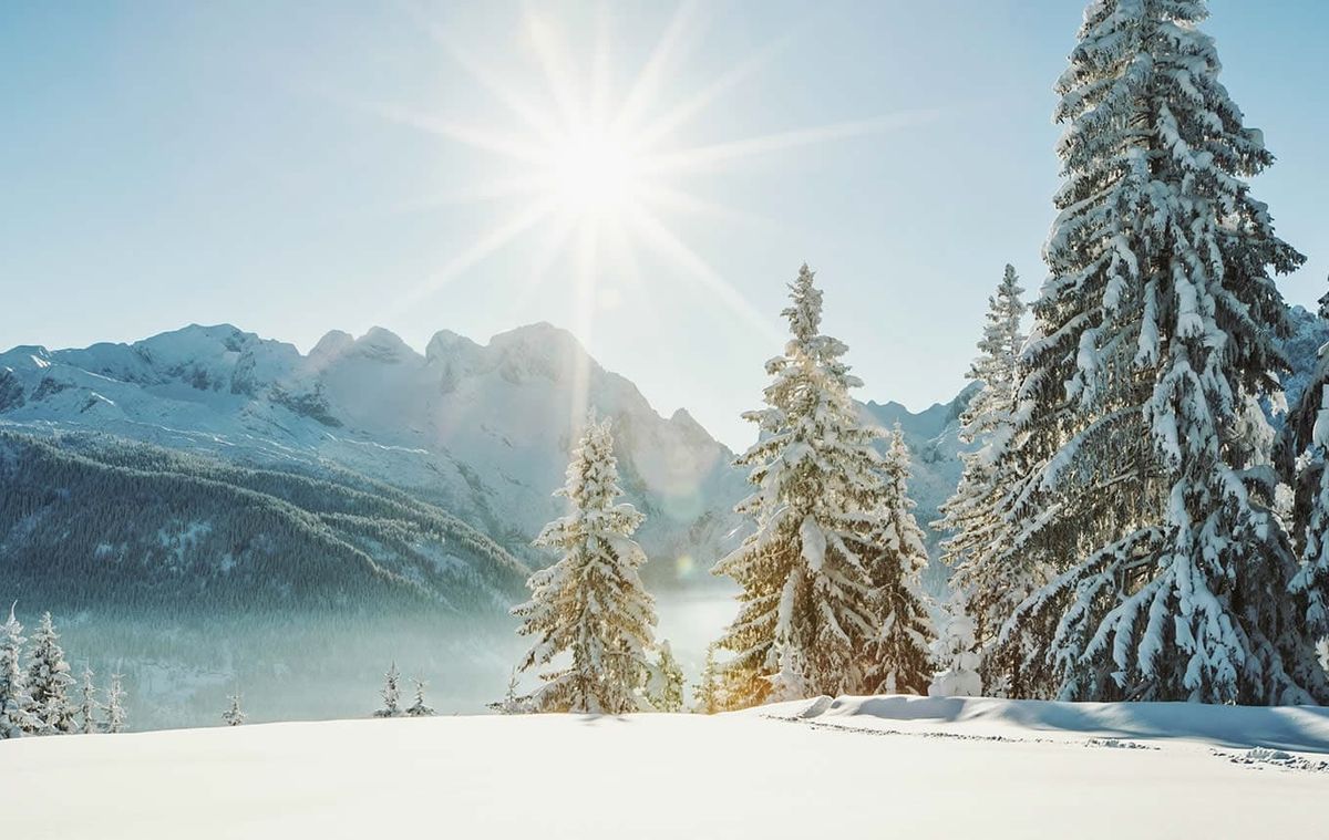Zinkenlifte Hallein  |  Bad Dürrnberg in Austria - a snow covered mountain with trees in the fore.