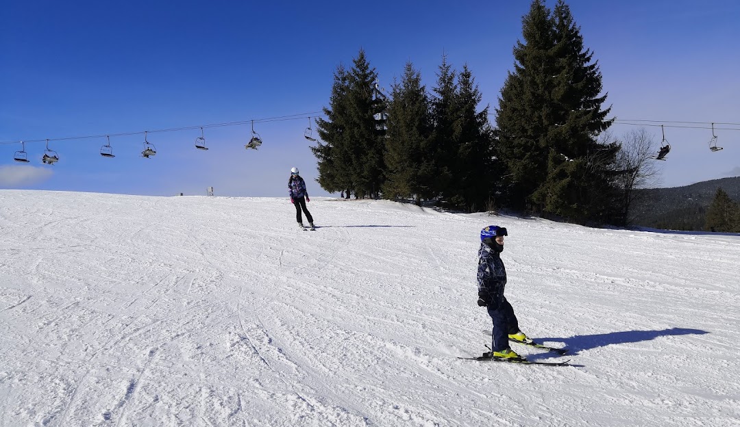 A cozy chalet in Oravská Lesná, Žilina, Slovakia, set against a winter sports scene with skiers actively participating. Slopes reveal a bustling winter sports centre with families enjoying skiing.
