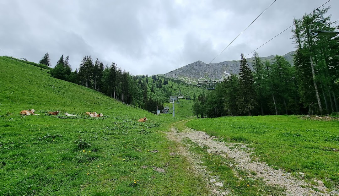 A charming chalet nestled in the Austrian mountains in Brunnalm - Hohe Veitsch. A ski lift and a mountain hut hint at the area's popularity as a ski resort.