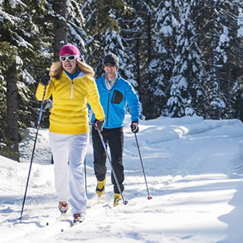 Winter sports scene at Zauchensee | Flachauwinkl in Pongau, Salzburg, Austria, featuring a family skiing together, a solo skier, a winter sports centre and a chalet in the snowy landscape.