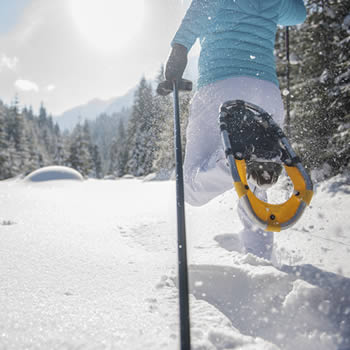 A snowboarder tackling the slopes in Zauchensee, Flachauwinkl in Pongau, Salzburg, Austria. The snow-dusted scenery enhances the exhilarating winter sports experience in the picturesque countryside.