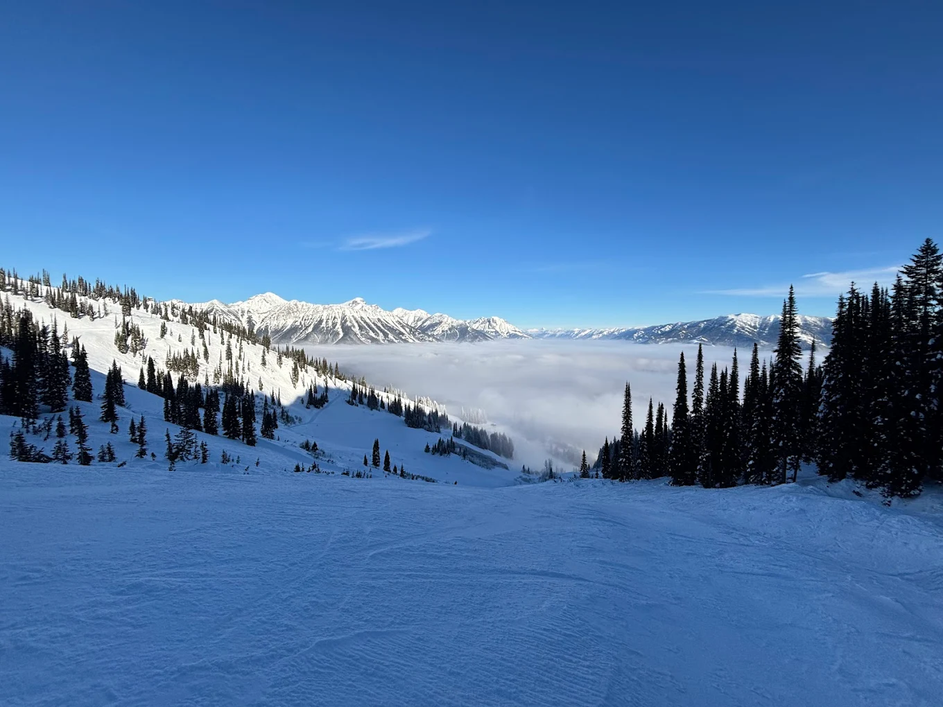 Fernie in Canada - a view from the top of a snowy mountain.