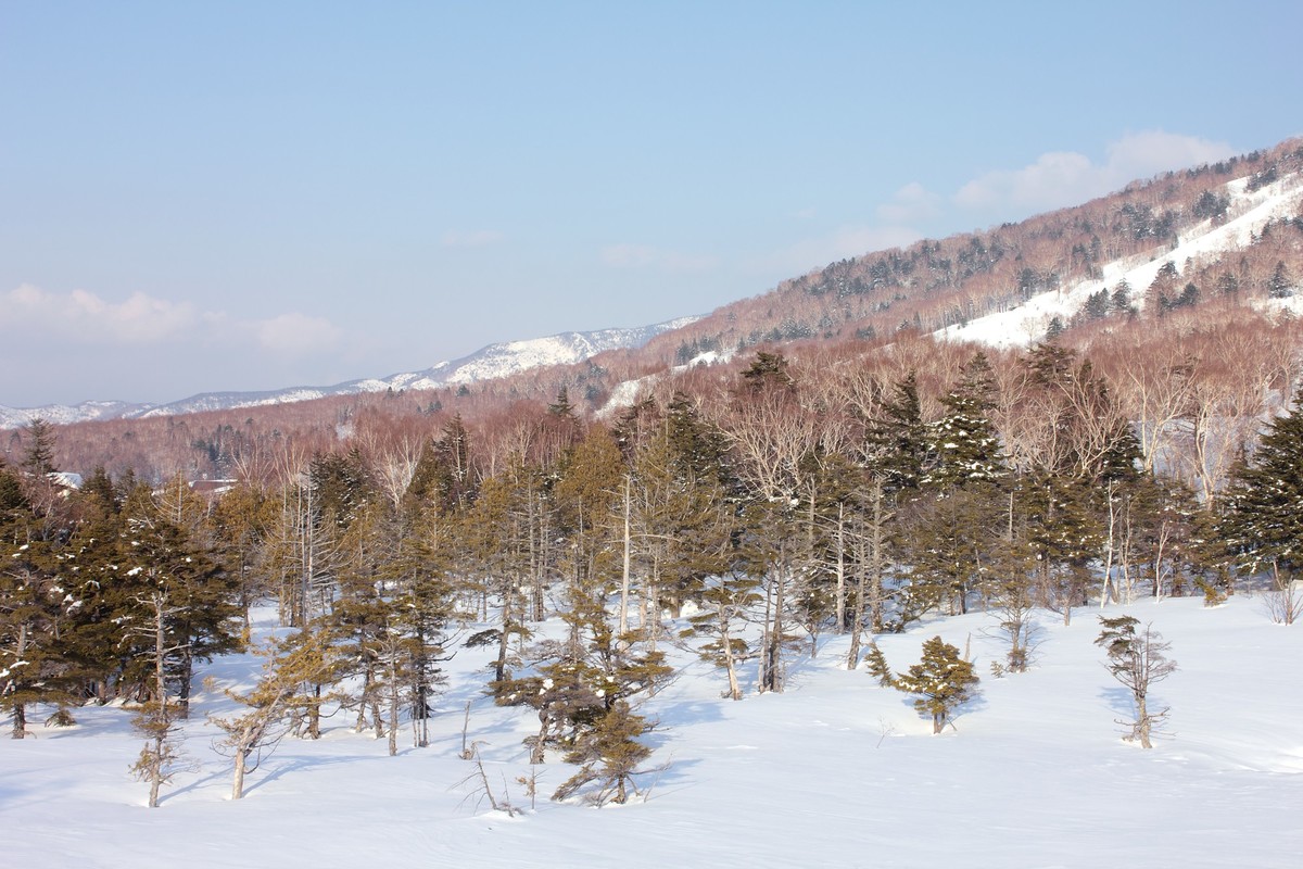 Winter scene at Tanne no mori Okojo in Japan, featuring a snow-covered landscape, a chalet, and a glimpse of a ski resort.
