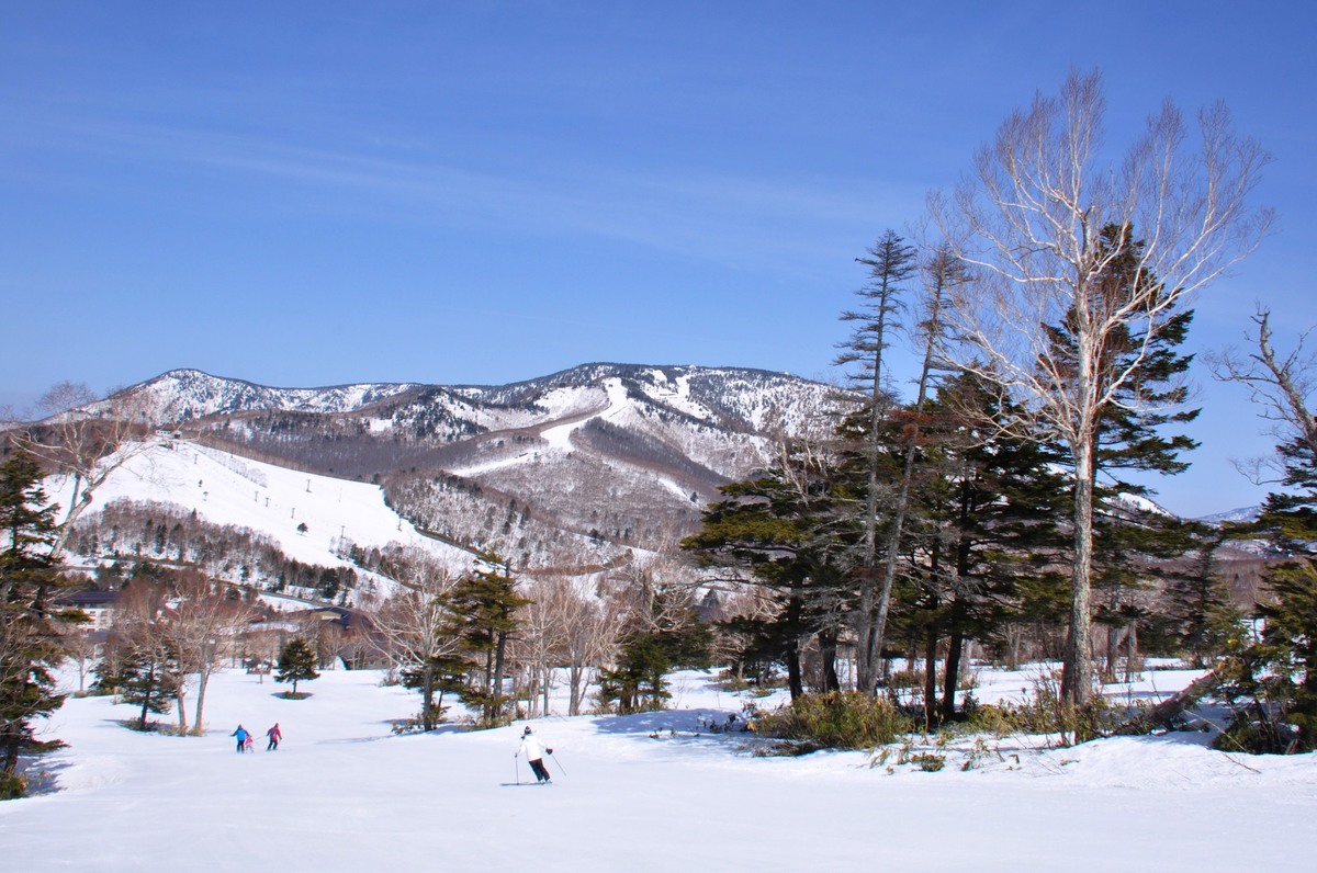 Winter sports scene at Tanne no mori Okojo, featuring a bustling ski resort set amidst stunning winter scenery, in Shimotakai District, Nagano, Japan.