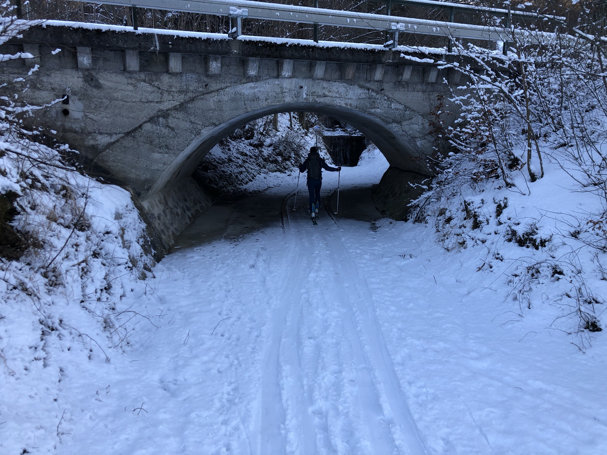 A picturesque winter scene in Brannenburg Bavaria with a charming chalet a skier gliding down the slopes and a beautiful snowy landscape in the background.