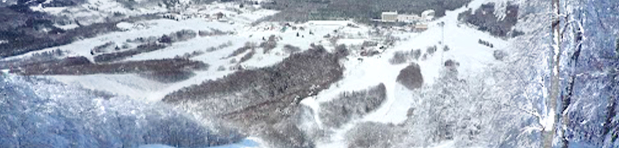 The Cupid of Romance in Japan - a person is skiing down a snowy mountain.