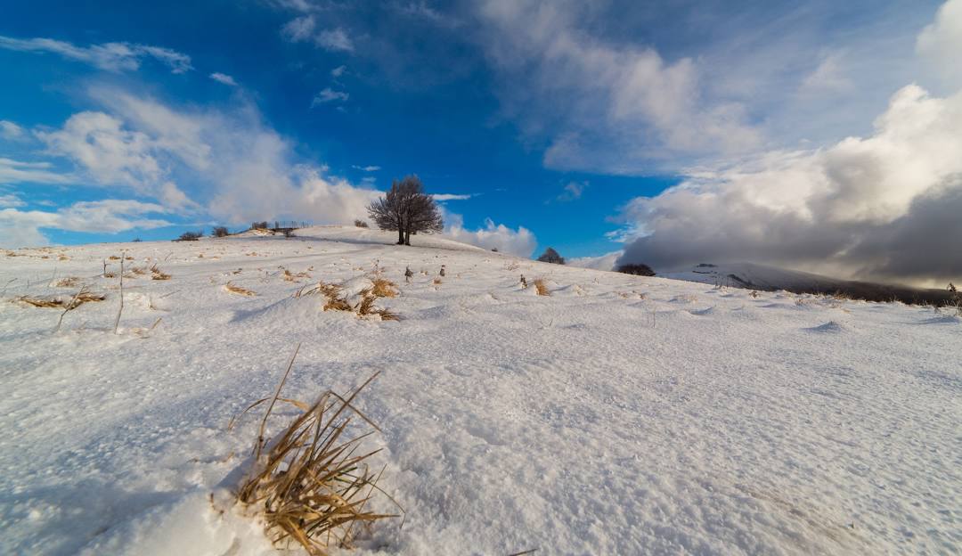 Winter scene at Forca Canapine in Italy showcasing a beautiful snowy landscape with a quaint chalet, echoing a serene and tranquil winter sports scene.