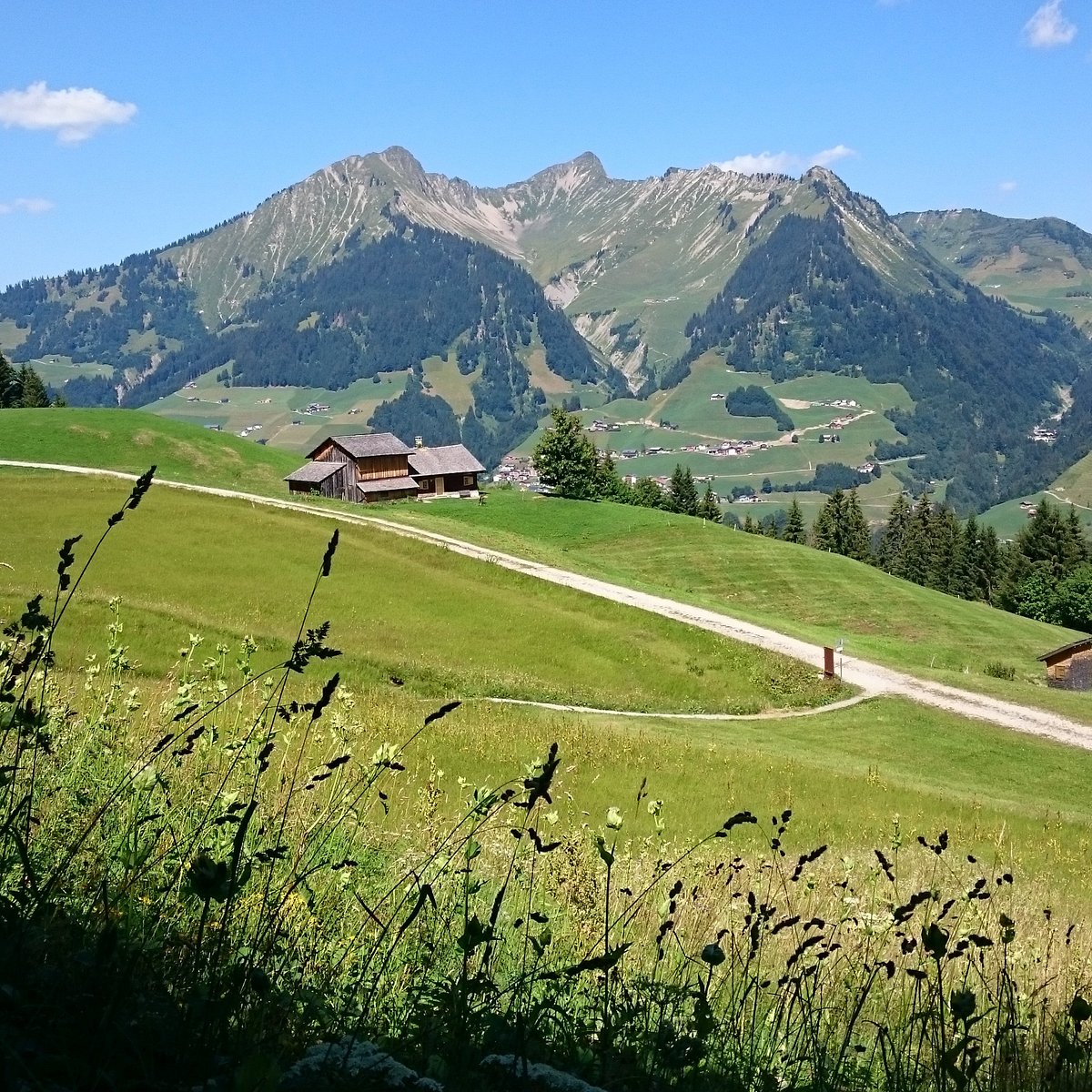 Seilbahnen Sonntag in Austria - a grassy field with a house in the background.
